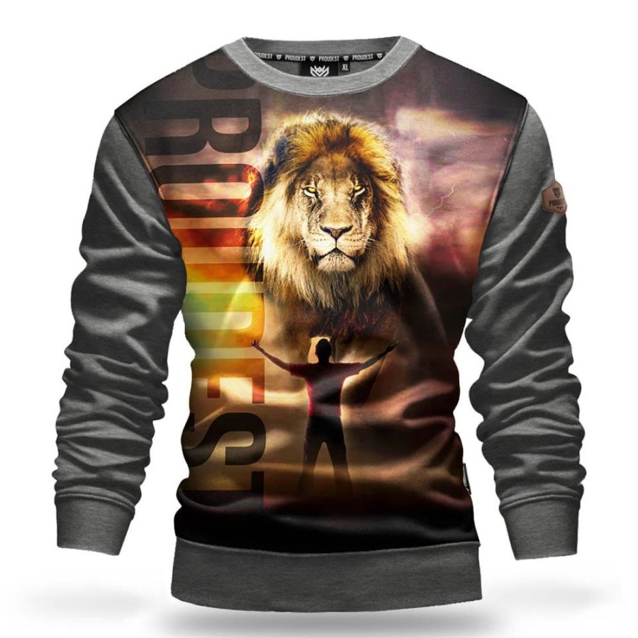 Mezczyzna Proudest | Bluza Klasyczna Mix Lion Dark Gray